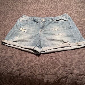 Lane Bryant weekend shorts